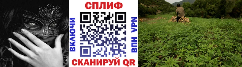 Где купить Салават COCAIN  Alpha-PVP  Гашиш  Меф 