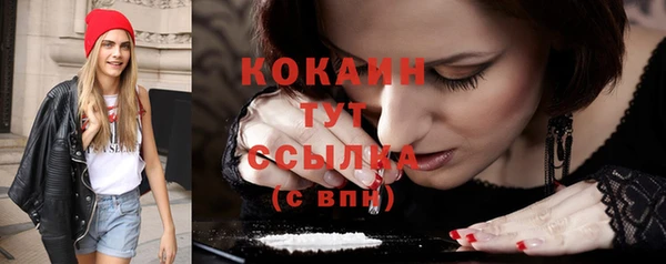 мет Новозыбков