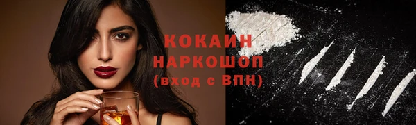 стафф Новокубанск