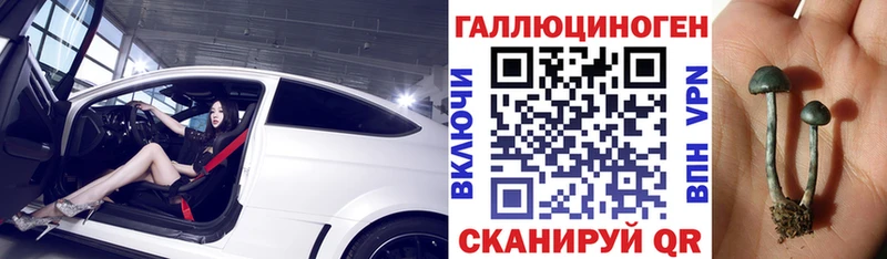 магазин    Салават  Галлюциногенные грибы Psilocybe 