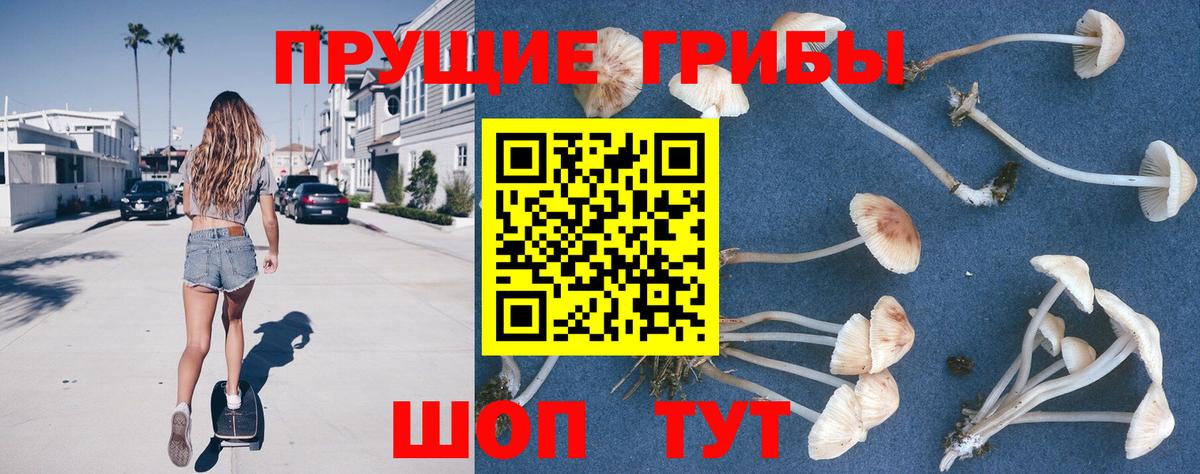 Псилоцибиновые грибы Psilocybe Салават