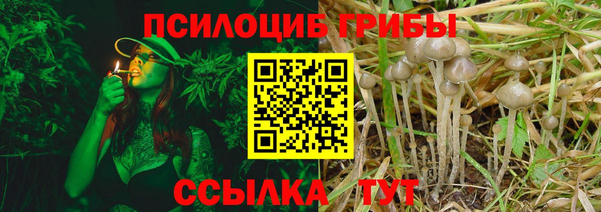 Галлюциногенные грибы Psilocybine cubensis Салават