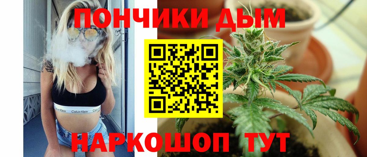 Бошки марихуана VHQ  Салават  Бошки марихуана сатива  Каннабис план 